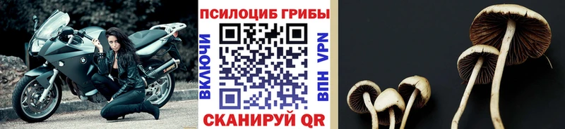mega сайт  Новоаннинский  Псилоцибиновые грибы ЛСД 